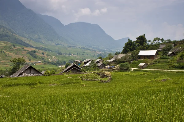 Dorf in der Nähe von sapa — Stockfoto