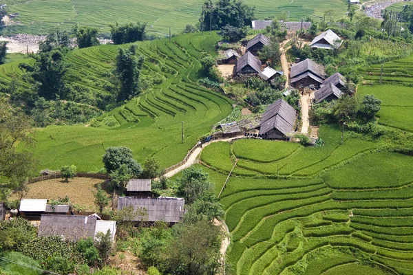 Rijstvelden en kleine dorpjes — Stockfoto