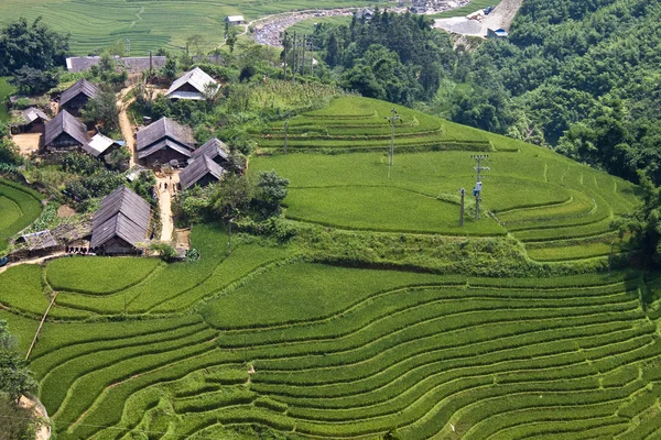 Campos de arroz y pequeños pueblos — Foto de Stock