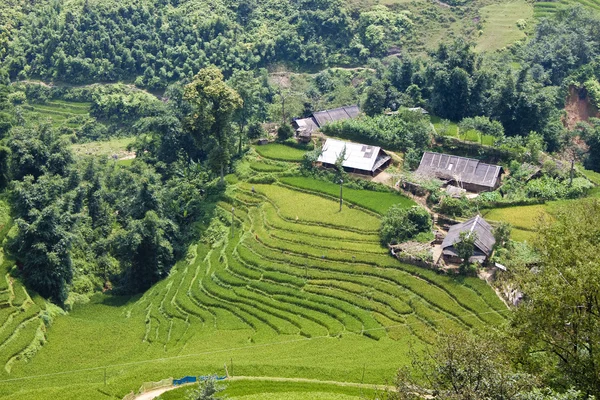 Paddy fields and small villages — Stock Photo, Image