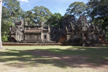 Antik angkor tapınakları kalıntıları