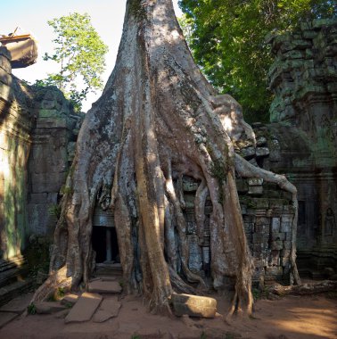 harabeler antik angkor Tapınağı ta phrom