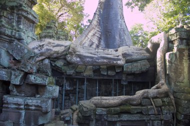 harabeler antik angkor Tapınağı ta phrom