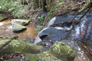 kbal spean jungle şelale