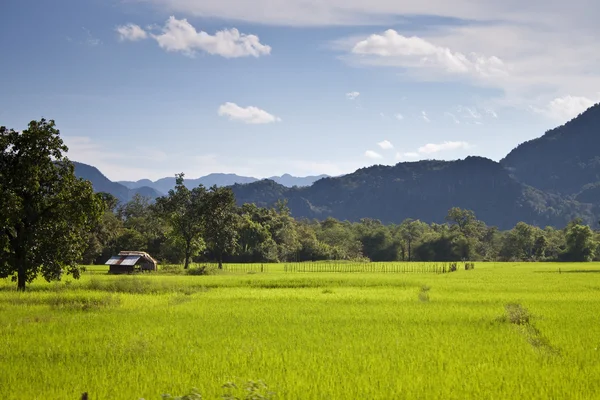 在老挝中部农村 — 图库照片