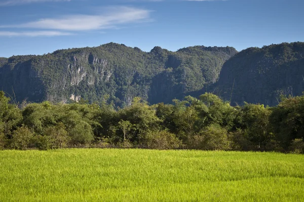kırsal Merkezi Laos