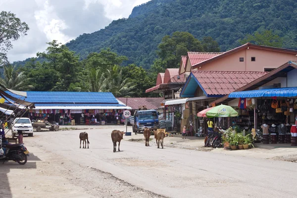 Veduta di un villaggio Ban Nakham — Foto Stock