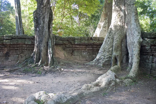 Руины древнего Ангкорского храма Та Фром — стоковое фото