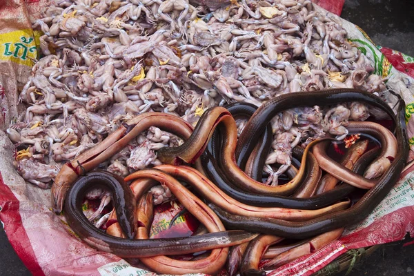 Ranas y anguilas en un mercado callejero — Foto de Stock