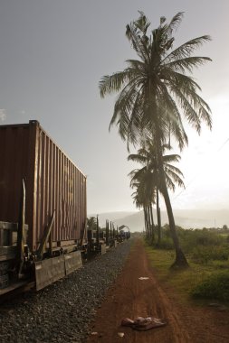 kampo trende akşam vurdu