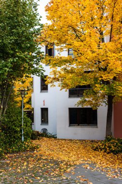 Student dormitory of University of Bonn clipart