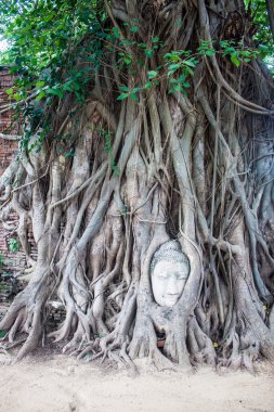 Buda'nın kafasından wat mahathat