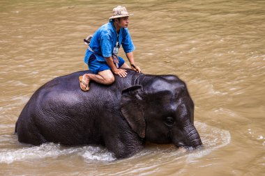 onların filler mahouts banyo