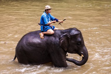 onların filler mahouts banyo