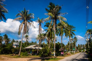 koh phangan üzerinde Thong sala Köyü