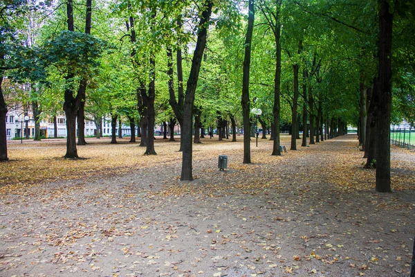 Hofgarten Parkı — Stok fotoğraf
