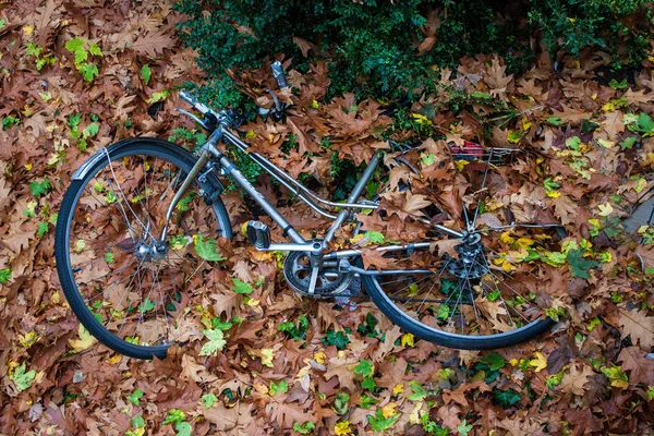 Vieja bicicleta — Foto de Stock