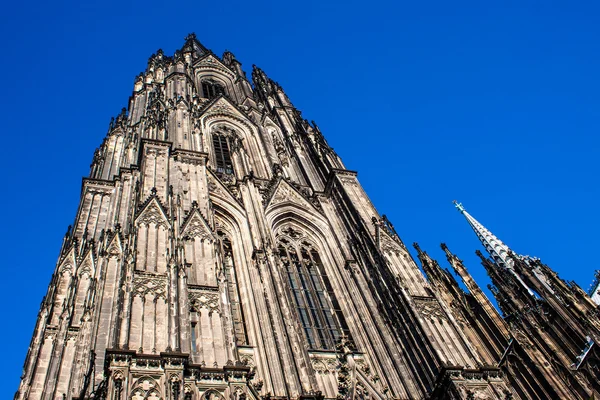 Kathedraal in Keulen — Stockfoto