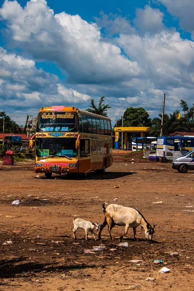 Dworzec autobusowy w pakse — Zdjęcie stockowe