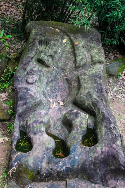 Piedra de cocodrilo — Foto de Stock