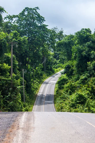 Straße im Khao yai Nationalpark — Stockfoto