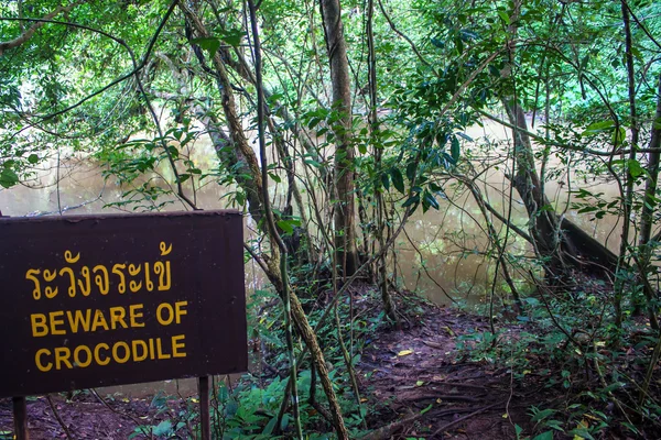 정글과 악어 경고 표지판 — 스톡 사진