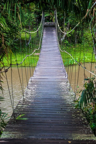 Hängebrücke — Stockfoto