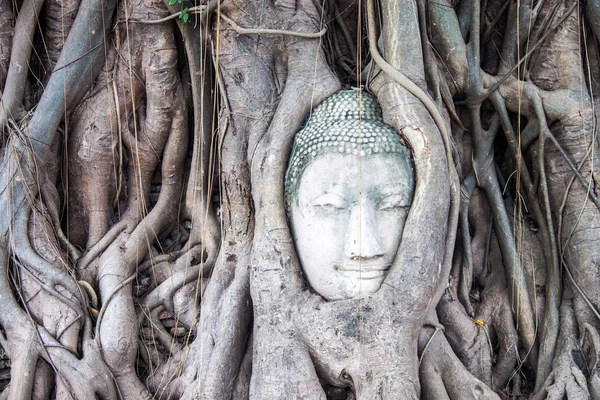 Testa di Buddha a Wat Mahathat — Foto Stock