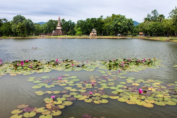 Estanque en Sukhothai — Foto de Stock