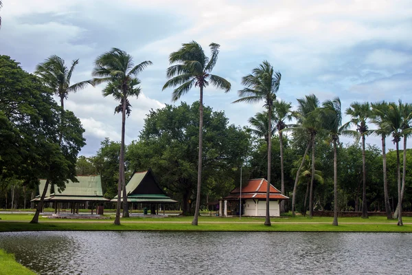 Palmas em Sukhothai Parque Histórico — Fotografia de Stock