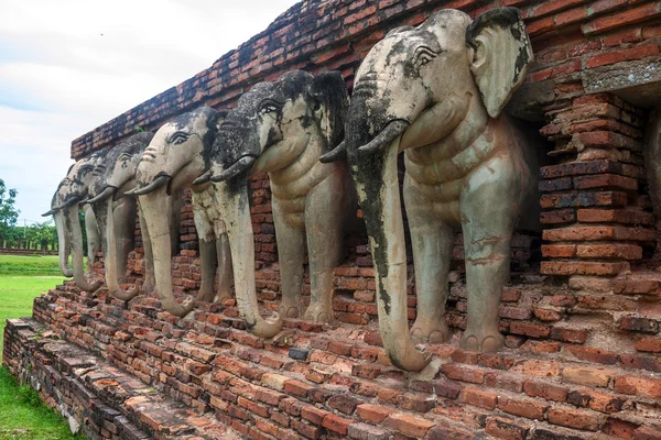 Dettaglio degli elefanti — Foto Stock