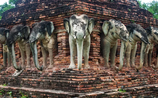 Detail of elephants — Stock Photo, Image