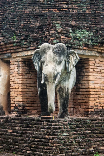 Dettaglio di un elefante a Wat Chang Lom — Foto Stock