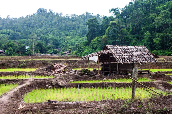 Village — Stock Photo, Image