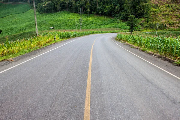 Silnice v obilných polích — Stock fotografie