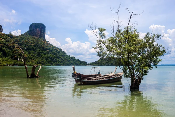 Mangrov ve tekneler, railay — Stok fotoğraf