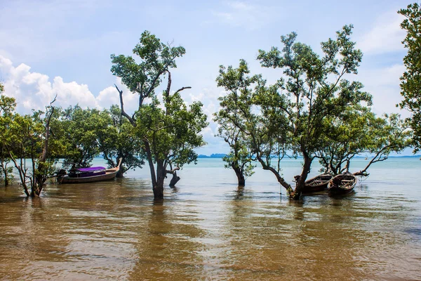 Manglares y barcos en Railay —  Fotos de Stock