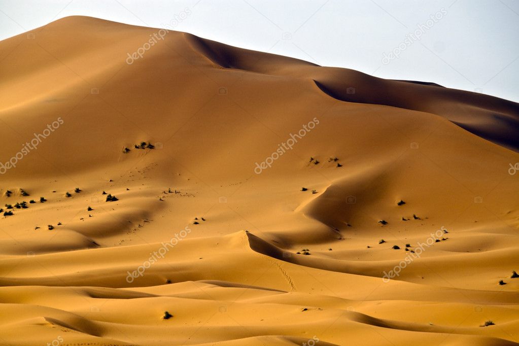 Sand dunes in Erg Chebbi