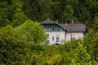 Bled Jezero tren istasyonu, Slovenya