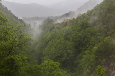 Tolmin Geçitleri 'nin puslu ormanları (Tolminska Korita), Slovenya