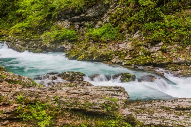 Slovenya, Bled yakınlarındaki Vintgar Geçidi