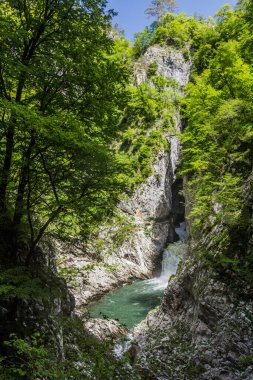Skocjanske hapishanesi (Skocjan Mağaraları), Slovenya yakınlarındaki derin vadi