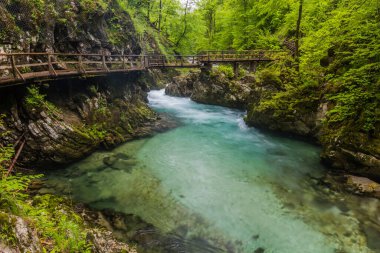 Slovenya, Bled yakınlarındaki Vintgar geçidinde tahta kaldırım