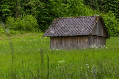 Slovenya, Bled yakınlarındaki bir çayırda ahır
