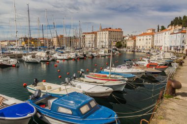 PİRAN, SLOVENIA - 15 Mayıs 2019: Piran marinasında tekneler, Slovenya