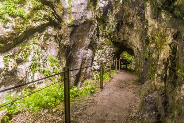 Hiking Path Tolmin Gorges Tolminska Korita Slovenia — стокове фото