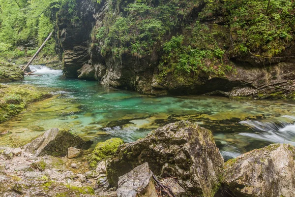 Vintgar Gorge Bled Slovenia — Stock Photo, Image