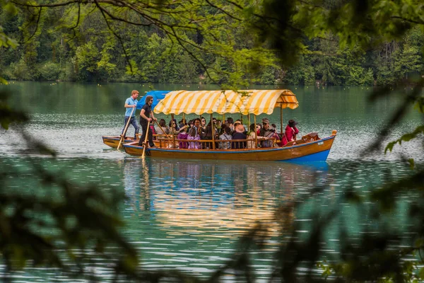 Bled Slovenia Maggio 2019 Nautica Lago Bled Slovenia — Foto Stock