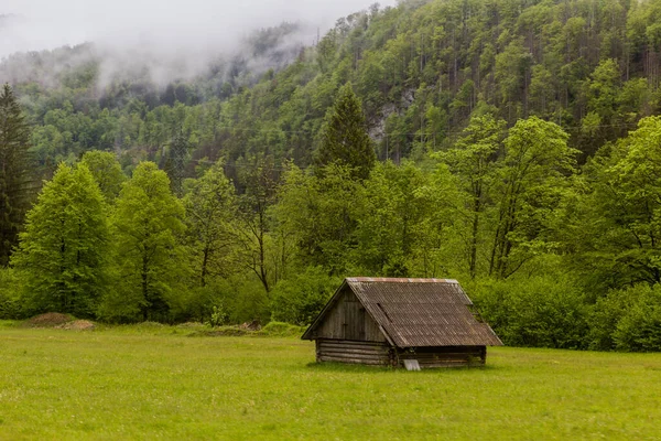 Weiden Een Hooizolder Buurt Van Bled Slovenië — Stockfoto