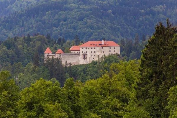 Blejski Grad Bled Castle Slovenia — Stock Photo, Image